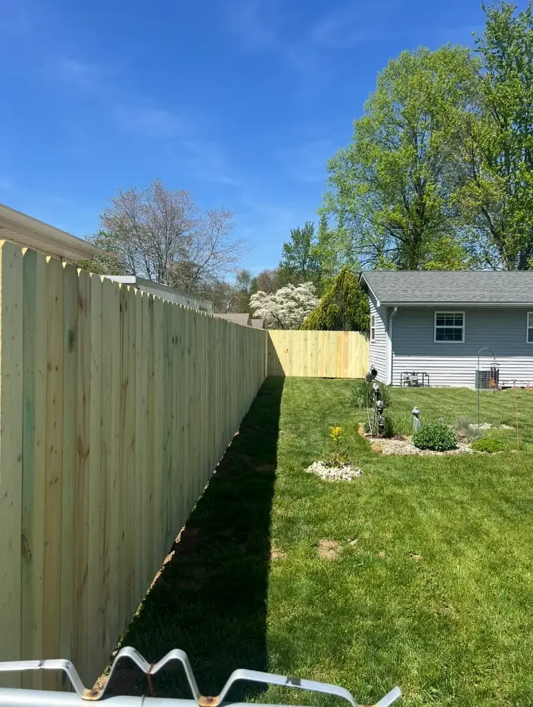 Wooden fences