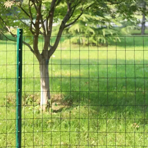 Wired Fence