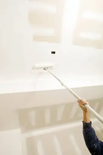 Painting - Fresh Drywall Walls